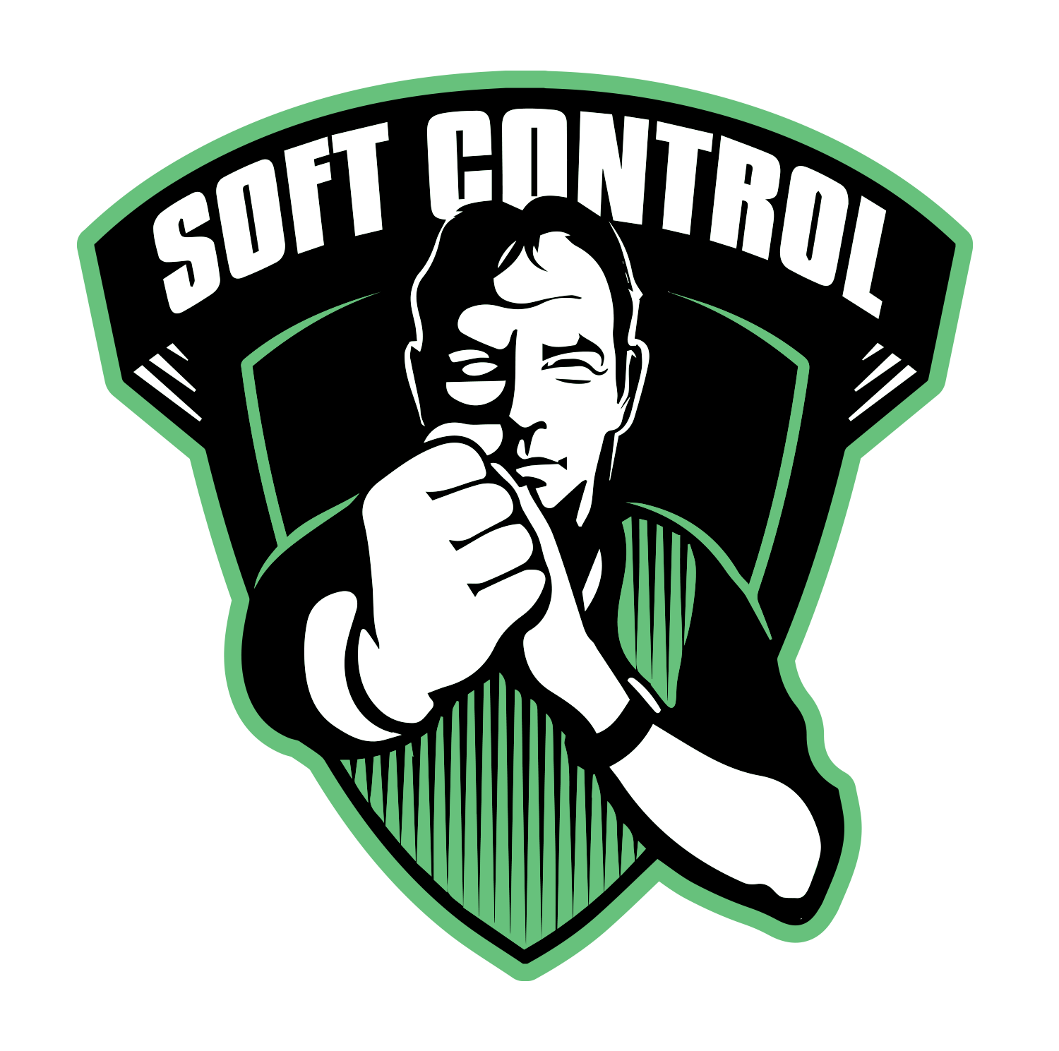 LOGO WEB